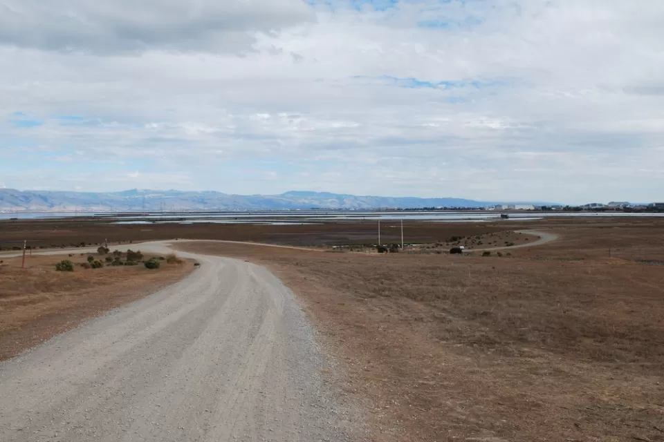 Gravel trail winds through grassy marshy field in Baylands Park, Palo Alto